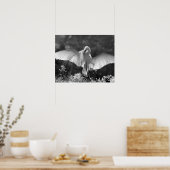 Poster États-Unis, Floride, Grande Aigrette (Ardea alba)  (Cuisine)