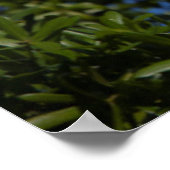 Poster États-Unis, Floride, Saint-Augustine, Egret (Coin)