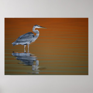 Poster États-Unis, Floride, Saint-Pétersbourg, Fort De So