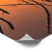 Poster États-Unis, Floride. Silhouettes de branches d'arb (Coin)