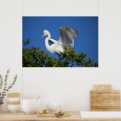 Poster États-Unis, Floride, St. Augustine, Aigrette (Cuisine)