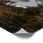 Poster Etats-Unis, Floride, Zones Humides de Viera. Trois (Coin)