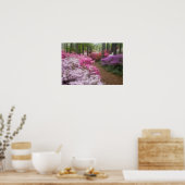 Poster États-Unis ; Géorgie ; Pine Mountain. Azalées à 2 (Cuisine)