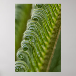 Poster Etats-Unis, Géorgie, Savannah, Gros Plan Sur De N