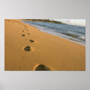 Poster États-Unis, Hawaï, Kauai, Kapa'a, bord de mer.