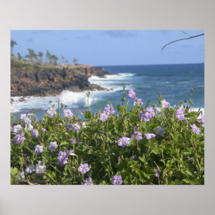 Poster États-Unis, Hawaï, Kauai, près de Kapaa, nord-oues