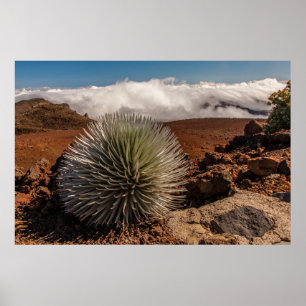 Poster États-Unis, Hawaï, Maui, Parc national de Haleakal