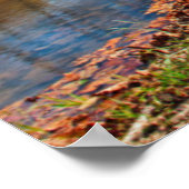 Poster États-Unis, Indiana, Cataract Falls State Recreati (Coin)