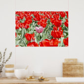 Poster États-Unis, Kansas. Champ de tulipes (Cuisine)