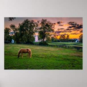 Poster États-Unis, Lexington, Kentucky. Cheval solitaire 