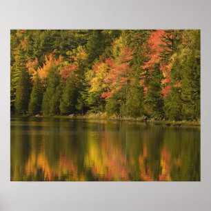 Poster États-Unis; Maine; Acadia NP. Reflets automnaux à