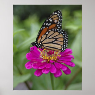 Poster États-Unis, Massachusetts, Boylston, Tower Hill