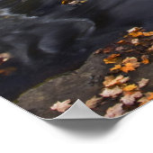 Poster États-Unis, Michigan, Upper Peninsula. Bond Falls (Coin)