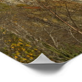 Poster États-Unis, Minnesota.  Phare de Split Rock sur le (Coin)