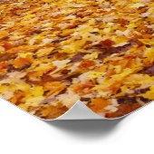 Poster États-Unis, Missouri, comté de Boone, Maple Forest (Coin)