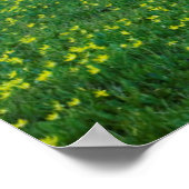 Poster États-Unis, Montana, Parc national des Glaciers, L (Coin)