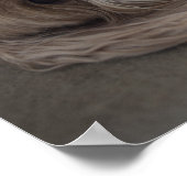 Poster États-Unis, New York, New York, Brooklyn, Cockapoo (Coin)