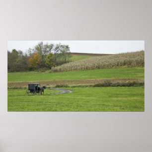Poster États-Unis, nord-est de l'Ohio. Buggy amish dans u