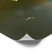 Poster États-Unis, Nouveau-Mexique, Bosque del Apache Nat (Coin)