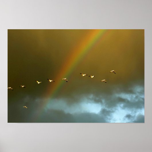 Poster États-Unis, Nouveau-Mexique, Bosque del Apache Nat (Devant)
