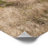 Poster États-Unis, Oklahoma, Black Kettle National Grassl (Coin)