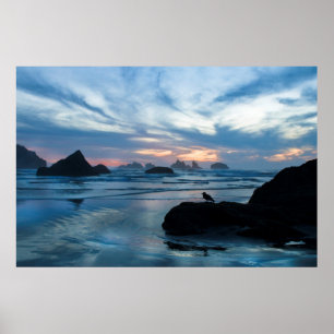 Poster États-Unis, Oregon, Bandon Beach. Mouette sur un r