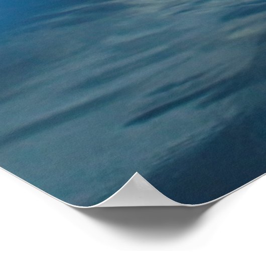 Poster États-Unis, Oregon, Bandon Beach. Seagull on rock (Coin)