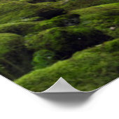 Poster États-Unis, Oregon, Columbia River Gorge, Tanner C (Coin)