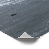 Poster États-Unis, Oregon, Côte (Coin)