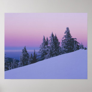 Poster États-Unis, Oregon, forêt nationale de Deschutes,