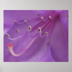 Poster États-Unis, Oregon, Portland. Clôture d'un