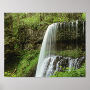 Poster États-Unis, Oregon, Silver Falls State Park. Infér
