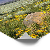 Poster États-Unis, Oregon, Steens Mountain. Le printemps (Coin)
