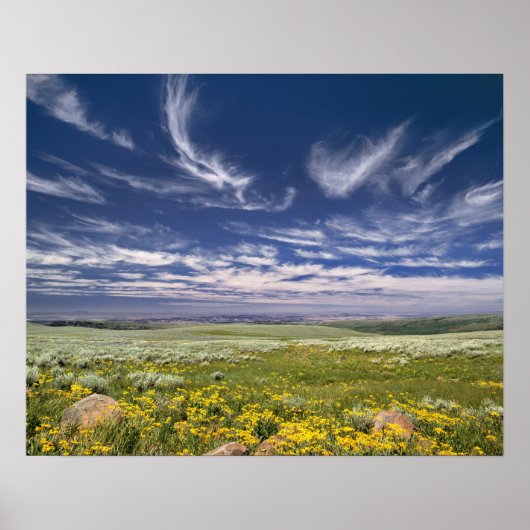 Poster États-Unis, Oregon, Steens Mountain. Le printemps (Devant)