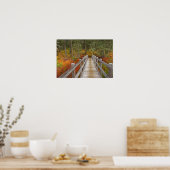 Poster États-Unis, Oregon, Willamette National Forest. (Cuisine)