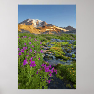 Poster États-Unis, Parc national du Mont Rainier, Washing