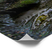 Poster États-Unis, Pennsylvanie, Benton, Rickett (Coin)