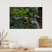 Poster États-Unis, Pennsylvanie, Benton, Rickett (Cuisine)