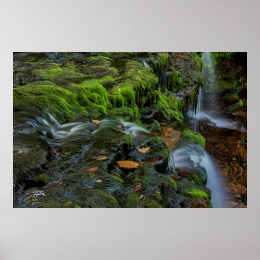 Poster États-Unis, Pennsylvanie, Benton, Rickett (Devant)