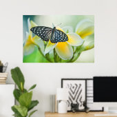 Poster États-Unis, Pennsylvanie. Papillon swallowtail (Bureau à domicile)