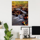 Poster États-Unis, Pennsylvanie, Pocono Mountains 2 (Bureau à domicile)