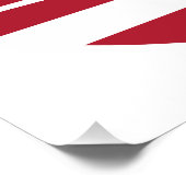 Poster États-Unis Pronghorn American National (Coin)