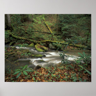 Poster États-Unis, Tennessee. Big South Fork National Riv