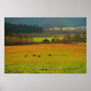 Poster États-Unis, Tennessee. Cades Cove dans Smoky Mount