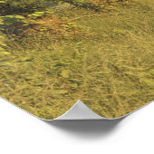 Poster États-Unis, Tennessee, Great Smoky Mountains Natio (Coin)