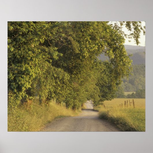 Poster États-Unis, Tennessee, Great Smoky Mountains Natio (Devant)