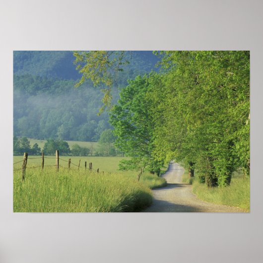 Poster États-Unis, Tennessee, Great Smoky Mountains NP, (Devant)