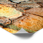 Poster États-Unis, Tennessee, Près De L'Écorce Sur Un Arb (Coin)