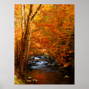 Poster États-Unis, Tennessee. Ruisseau Rushing Mountain 2