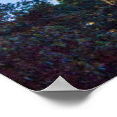 Poster États-Unis, Texas, Austin. Capitole (1888) 4 (Coin)